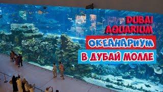 Дубай молл аквариум Dubai Mall Aquarium & Underwater Zoo