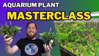 Be successful: start your aquarium plants right! All the things you should do to prep your plants.