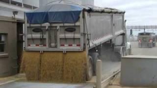 Hauling Soybeans to the Processor & Backhaul Lime