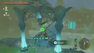 Korok Seed 499-500, Great Zora Bridge | The Legend of Zelda: Tears of the Kingdom