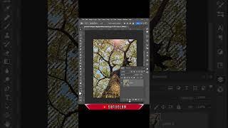 FAST TREE SELECTION IN PHOTOSHOP BETA #shorts