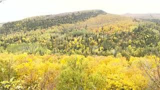 Fall color 2022, Oberg mountain loop, Minnesota