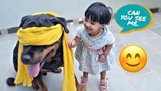 big dog love his little baby girl | rottweiler puppy | funny dog video |