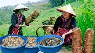 The process of making eel bait in terraced fields on rainy days - Bếp Trên Bản