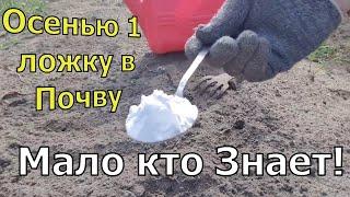 1 Ложка Этого и земля как новая! Лучшая подкормка для почвы.