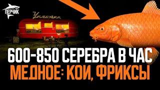 Фарм точка на медном: 600 - 850 серебра (Кои, Фриксы) ● Русская рыбалка 4 ● Перчик РР4