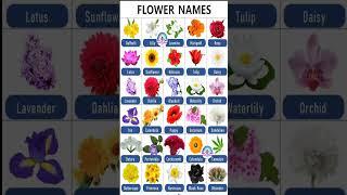 Most Important Words For Daily Use||30 Flowers Name In English||Flowers Name #grammar #flowers