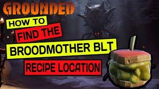 Grounded - Broodmother BLT recipe location