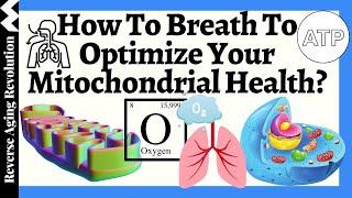 To GET Oxygen To Our Mitochondria We Must Breathe LESS. Why so?
