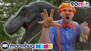 Santa Barbara Museum of Dinosaurs|Animals for Kids|Animal Cartoons|Learn about Animals