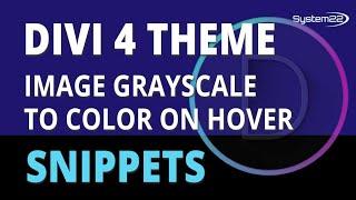 Divi 4 Image Grayscale To Color On Hover 