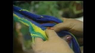 1987 Verdaine Farmilant, Finger Weaving - Clip from "Enduring Ways of the Lac du Flambeau People."