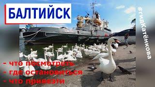 Балтийск - западные морские ворота России: что посмотреть, где остановиться, что привезти 2022