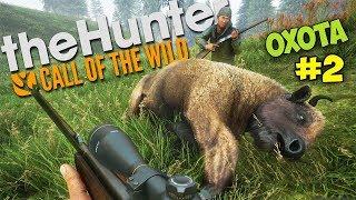 ЧТО ДЕЛАТЬ ЕСЛИ МЕДВЕДЬ НАПАДАЕТ - ОХОТА - The Hunter: Call of the Wild #2