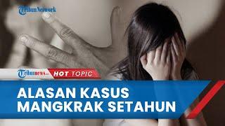 Polisi Sampaikan Alasan Kasus Dugaan Rudapaksa Bocah SD di Medan Mangkrak Setahun