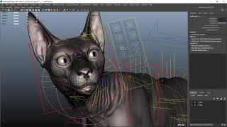 Sphynx cat maya rig video demo