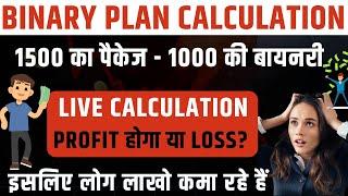 Type Of MLM Business Plan | How To Design Binary MLM Business Plan | Binary Plan Calculator Software