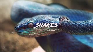 Melodic Trap Instrumental "SNAKE" | Dope Rap Beat Instrumental 2021 (prod. Sixty6beatz)