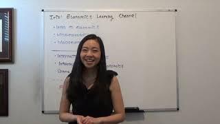 Intro to Channel "Iris Franz", an Economics Learning Channel