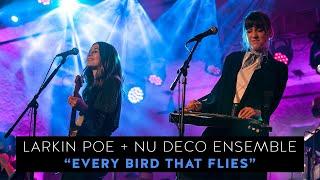 Larkin Poe & @NuDecoEnsemble - "Every Bird That Flies" (Live In Concert)