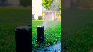 The Intelligent Use of Water #rainbird #shorts #youtubeshorts #gardenathome #satisfyingvideo