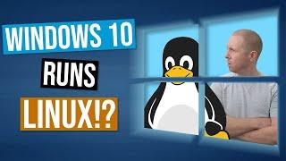 Windows 10 Can Run Linux!? | Windows Subsystem for Linux
