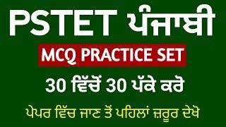 PSTET 2024 Punjabi | Paper 1 | Paper 2 | Punjabi By Study Fighters | pstet punjabi pedagogy