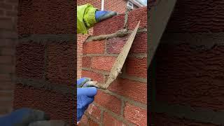 Laying rustic bricks #construction #skills #building #reels