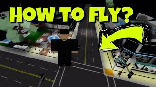 How to fly in Brookhaven? Real??? 