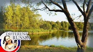 Netflix, Homeless Dogs & a Beautiful Lake. Bike Tour in Moscow Region, Russia