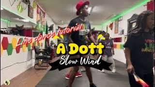 “Slow Wind” by S Dott  | Line dance tutorial with N’spire Walker