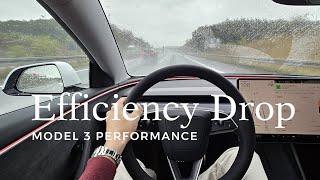 Model 3 Performance Roadtrip: Rain adds 50% more consumption