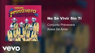 Conjunto Primavera - No Se Vivir Sin Ti (Audio)