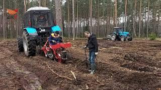 Ручная и механизированная посадка леса (сравниваем спустя полгода)