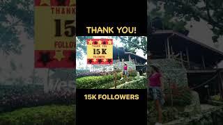 Thank you, 15K followers….️ #thankfulgratefulblessed #thankful #shorts