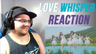 GFRIEND Love Whisper MV Reaction! They are so Precious!