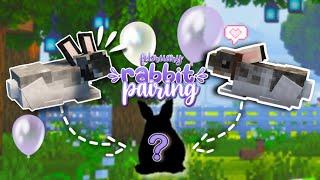 FEBRUARY RABBIT PAIRING || Genetic Animals Mod GEN 1