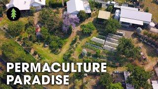 Hugely Abundant 1-Acre Permaculture Homestead Tour – Limestone Permaculture Farm Revisit