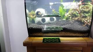 fluval flex 57l and media basket by intank