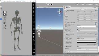 Human Skeleton System in Unity3D for Android Platform