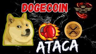 ️ DOGECOIN Últimas NOTICIAS - DOGECOIN  más rentable que XRP de RIPPLE  - DOGECOIN ANÁLISIS 