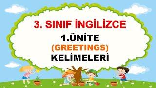 3.Sınıf İngilizce 1.Ünite Kelimeleri |Greetings