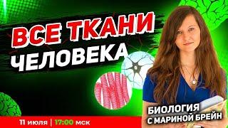 Все ткани человека ЕГЭ | Пробная неделя мастер-группы с Мариной Брейн