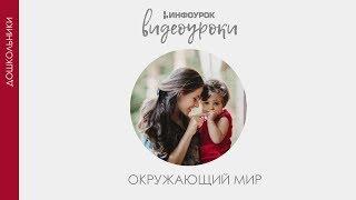 Нас окружает вода | Дошкольники | Окружающий мир #22 | Инфоурок