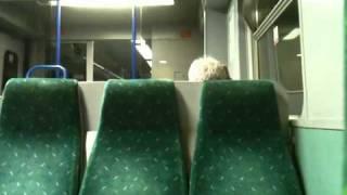 Class 321 National Express East Anglia Train