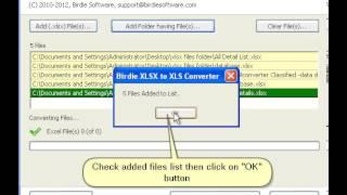 Birdie XLSX to XLS Converter