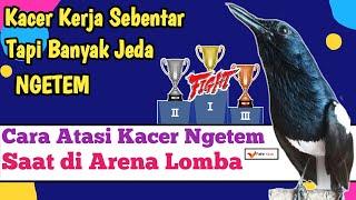 CARA ATASI KACER NGETEM SAAT LOMBA