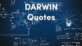 Getting DARWIN Quotes | Algorithmic Trading & Investing with the DARWIN API