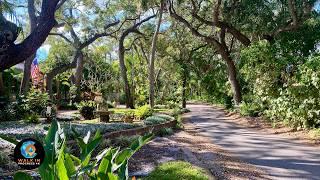 Safety Harbor, Florida  The Hidden Gem on Tampa Bay  4K Tour