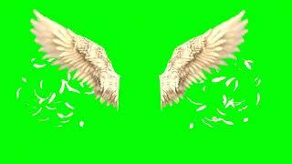 Green Screen Lucifer Wings